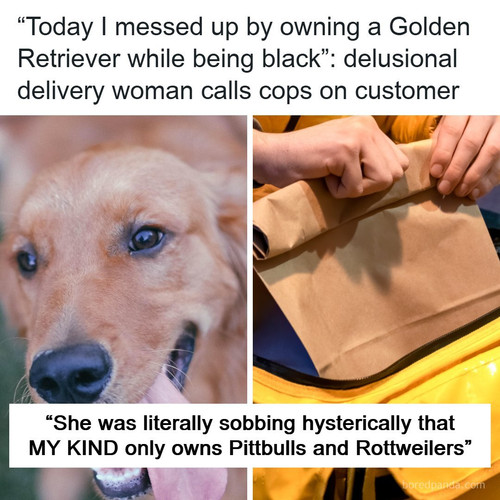 owning golden retriever being black delivery woman police call.jpg