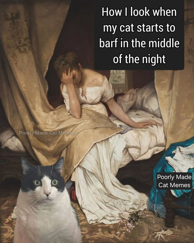 imgi 6 649223751 18325182850220000 4951782358872573183 n 69af7f199eaef 700.jpg