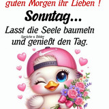 641380122 1350657837107864 8297222858347008548 n