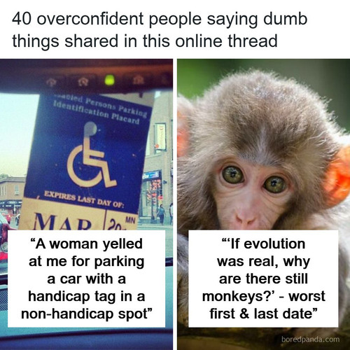 people share dumbest things someone said with complete confidence.jpg