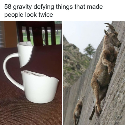 defying laws of physics gravity.jpg