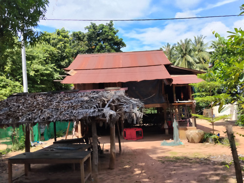 IMG 20251022 124653.jpg