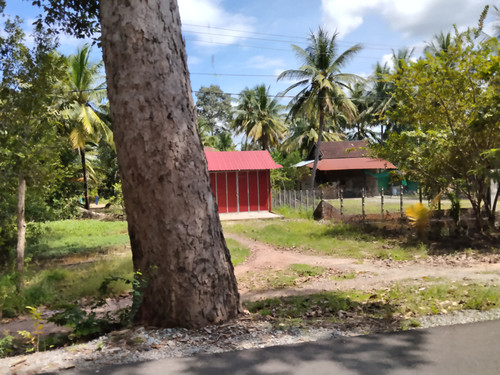 IMG 20251022 124502.jpg