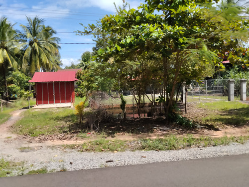 IMG 20251022 124502 1.jpg