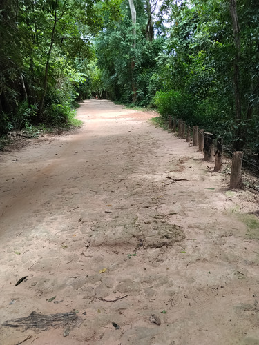 IMG 20251022 114752.jpg