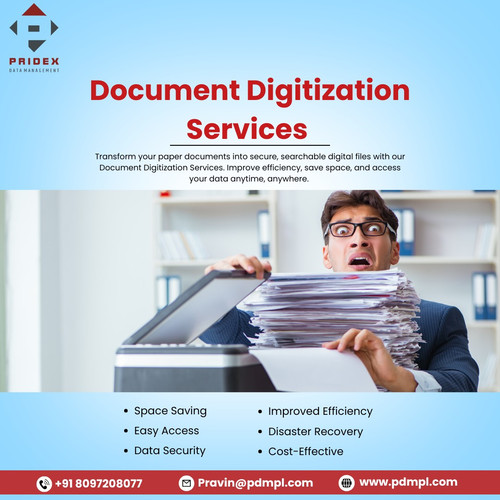 Digital Document Management System.jpg