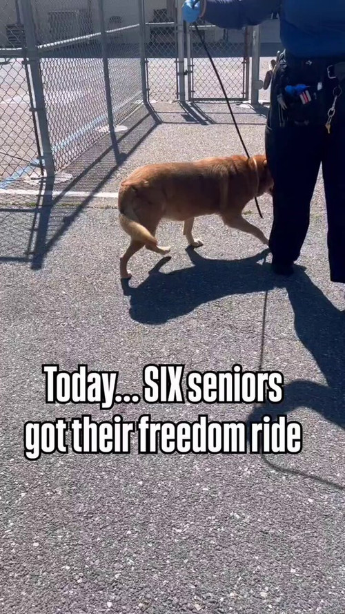 pjfUxTLqn9F csiA.jpg