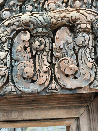 IMG 20251022 111408.jpg