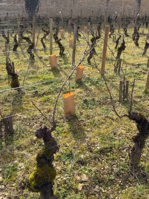 5Bh frmJUTNvUZiI.jpg