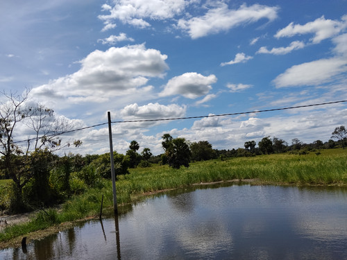 IMG 20251022 124547.jpg