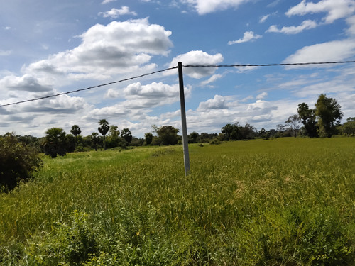 IMG 20251022 124544.jpg