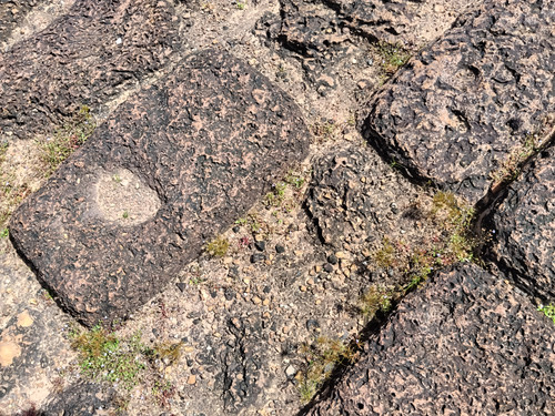 IMG 20251022 131044.jpg