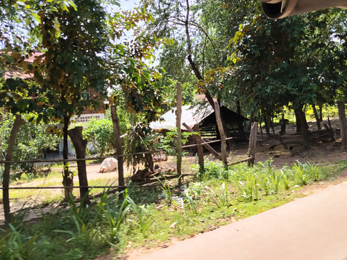 IMG 20251022 124707.jpg