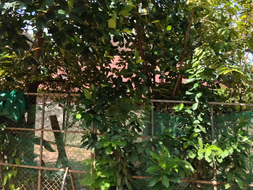 IMG 20251022 124649.jpg