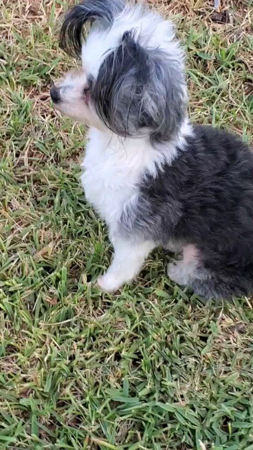 3sVlAG4EkX kTL7w.jpg