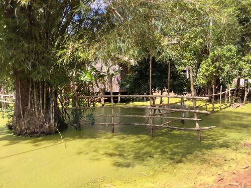 IMG 20251022 125023.jpg