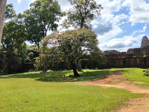 IMG 20251022 125611.jpg