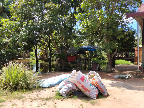 IMG 20251022 125033.jpg