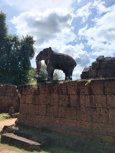 IMG 20251022 125856.jpg