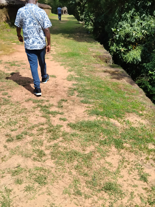 IMG 20251022 131425.jpg