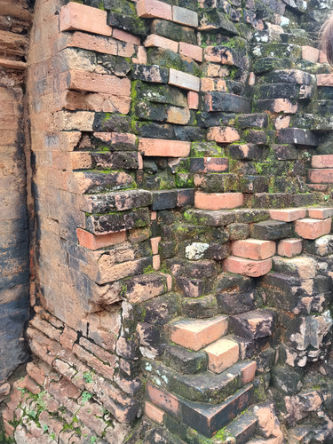 IMG 20251022 112322.jpg