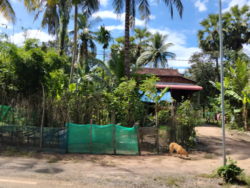 IMG 20251022 124417.jpg