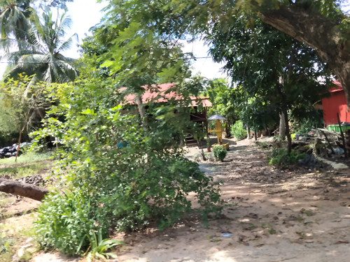 IMG 20251022 124359.jpg