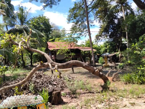 IMG 20251022 124400.jpg