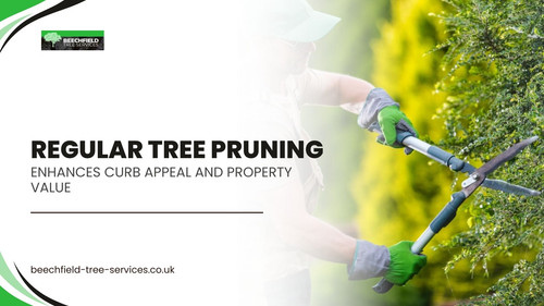 Regular Tree Pruning Enhances Curb Appeal and Property Value.jpg