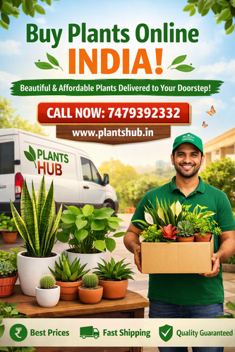 buy plants online india.png