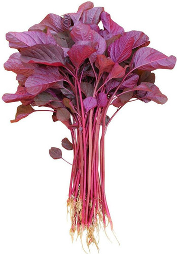 660 red spinach seed amaranthus.jpg