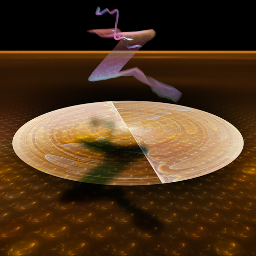 Compressionist's Springtime.png