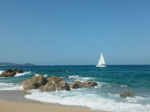  2026 03 22T225026.200.jpg