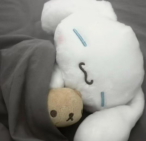 IMG 0500.jpg