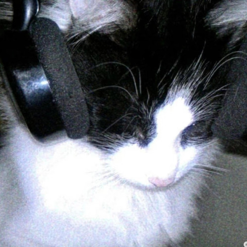 IMG 0505.jpg
