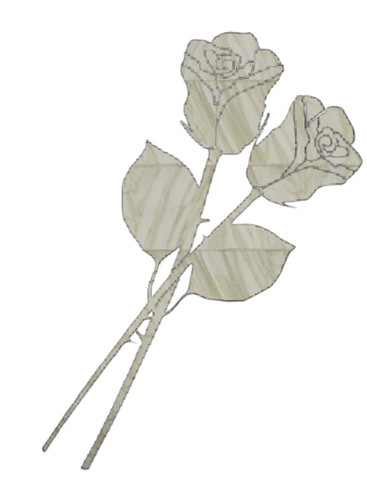 IMG 0347.jpg