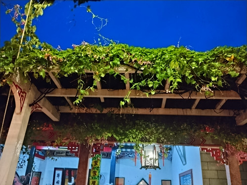 IMG 20251016 173854.jpg