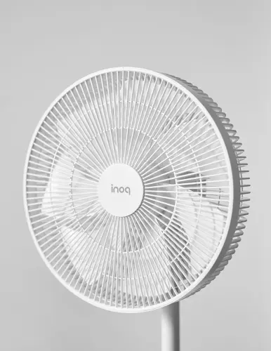 image download (39).webp