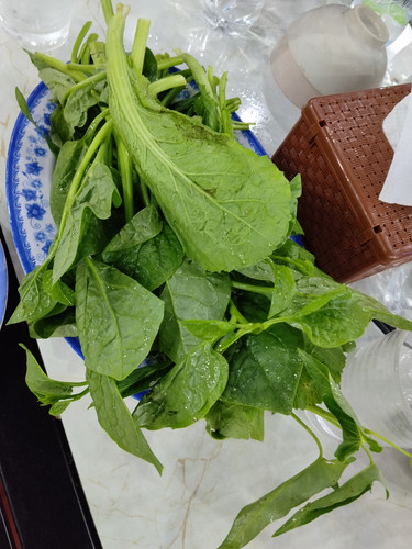 IMG 20251016 212110.jpg