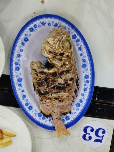 IMG 20251016 215020.jpg