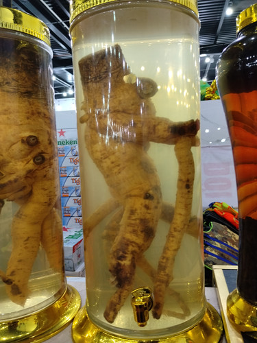 IMG 20251016 212434.jpg