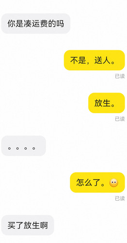 Screenshot 20260309 001012.jpg