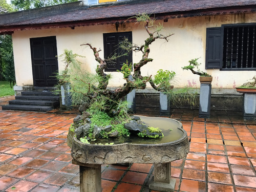 IMG 20251017 120637.jpg