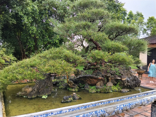 IMG 20251017 120622.jpg