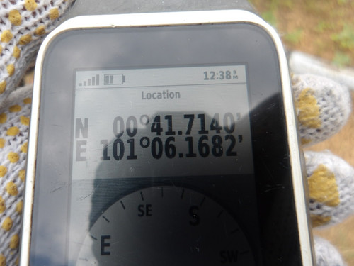 compressed IMGP3177.jpg