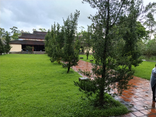 IMG 20251017 114245.jpg