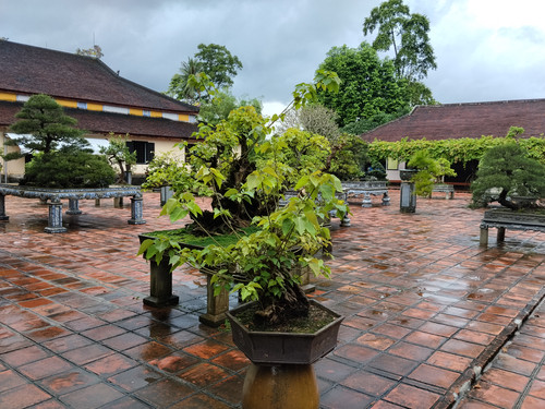 IMG 20251017 120556.jpg