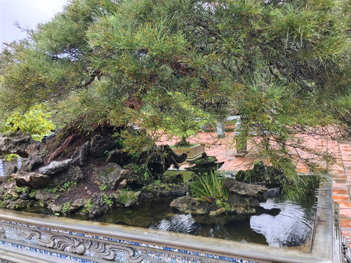 IMG 20251017 120704.jpg