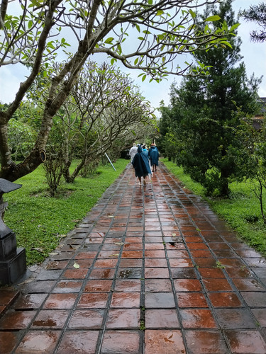 IMG 20251017 114607.jpg