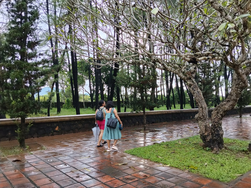 IMG 20251017 115929.jpg